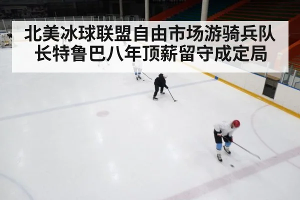 ice hockey rink